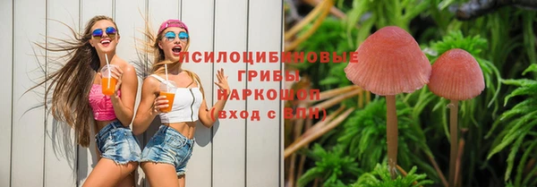 spice Корсаков