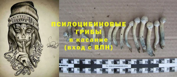 соль ск Козловка