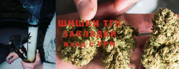 трава Козельск